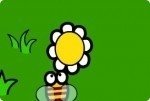 Ape dei fiori Ape dei fiori