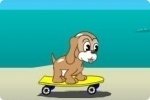 Cagnolino sullo skateboard Cagnolino sullo skateboard