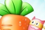 Carota fantasy Carota fantasy