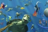 Cerca e Trova di Dory Cerca e Trova di Dory