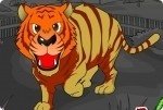 Colora gli animali dello zoo Colora gli animali dello zoo