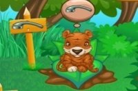 Cura gli animali della foresta Cura gli animali della foresta
