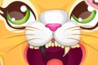 Dentista dei Gatti Dentista dei Gatti
