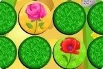 Fiori Match Fiori Match