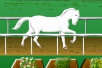 Horse Race Challenge Horse Race Challenge