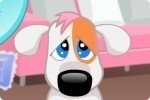 Il cane triste Il cane triste
