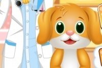 Il dentista degli animali Il dentista degli animali