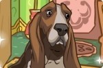 Il mio cane intelligente Il mio cane intelligente