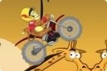 Jungle Race Jungle Race