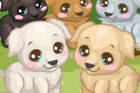 Labrador Care Labrador Care