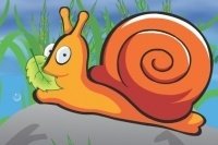 La lumaca affamata La lumaca affamata