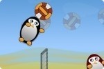 Pallavolo del pinguino Pallavolo del pinguino