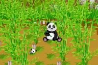 Panda Farm Panda Farm