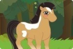 Quale pony vuoi essere? Quale pony vuoi essere?