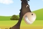 Trotta trotta cavallino Trotta trotta cavallino