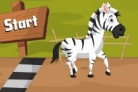 Zebra da Corsa Zebra da Corsa