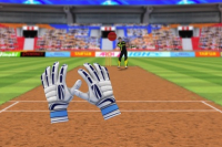 Cricket Challenge Cricket Challenge