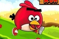 La corsa degli Angry Birds