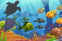 Sea Puzzle Sea Puzzle